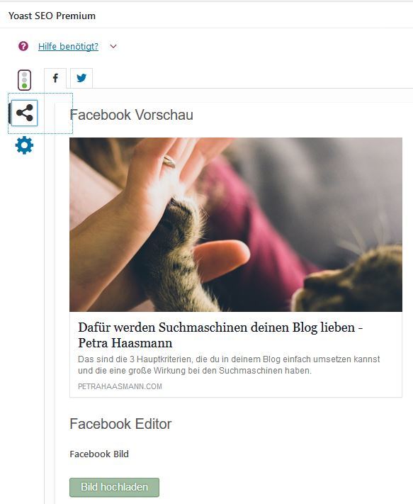 seo plugin für solounternehmer wann ist content king