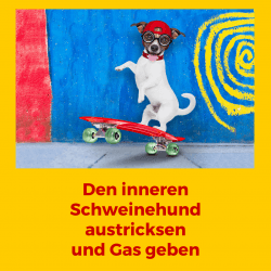 innerer Schweinehund umsetzen trotz innerem Schweinehund