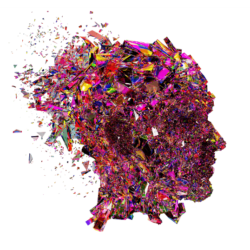 growth-mindset vom starren zum dynamischen Mindset